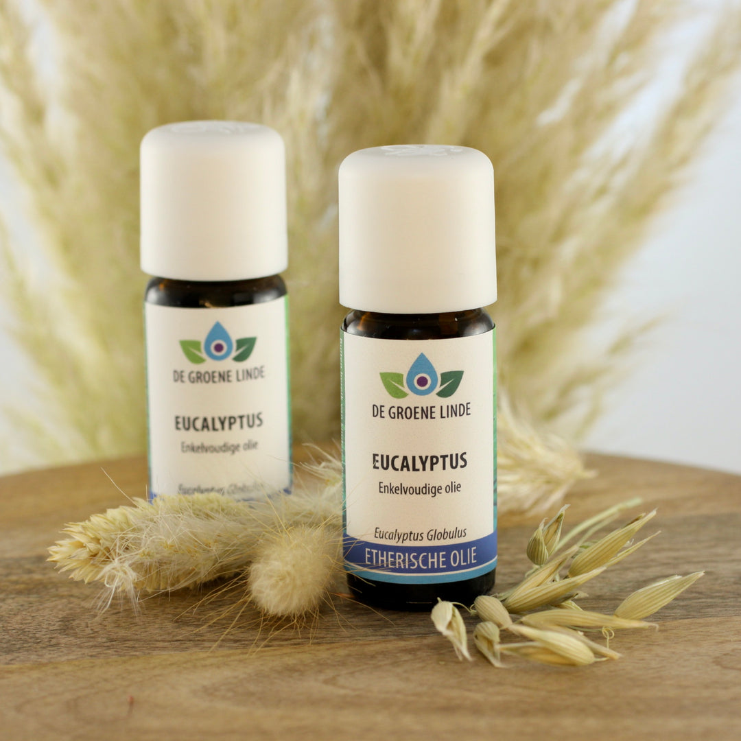 Eucalyptus