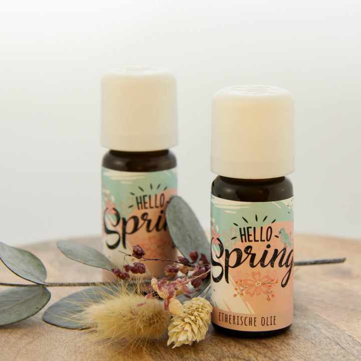 Hello Spring